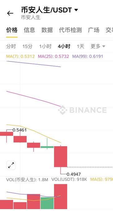 A cryptocurrency trading chart from Binance showing the price action of '币安人生/USDT' (Binance Life) on a 4-hour timeframe, with red and green candlesticks and a notable drop to 0.4947.