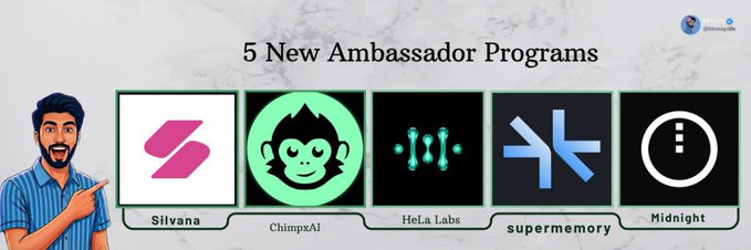 A graphic titled '5 New Ambassador Programs' showcasing logos for Silvana, ChimpXAI, HeLa Labs, supermemory, and Midnight, with a cartoon man pointing at them.