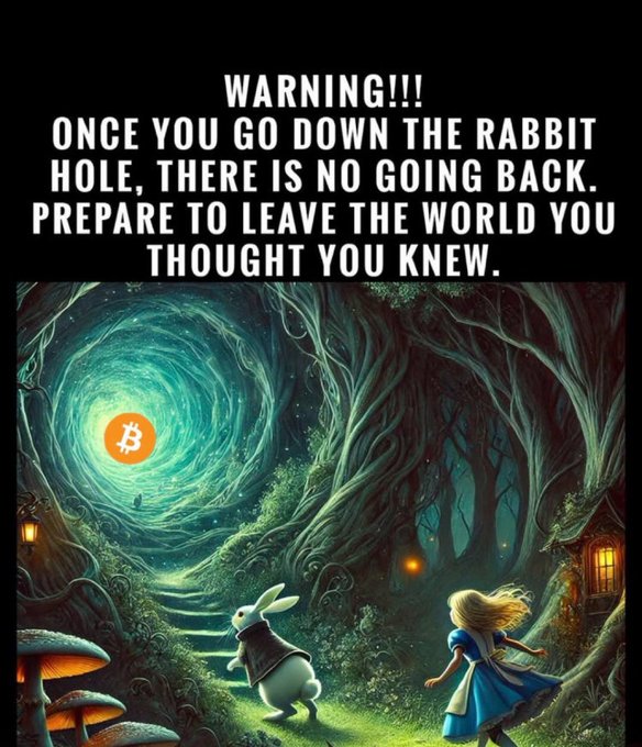 A stylized image warning viewers about the 'rabbit hole' of Bitcoin, featuring a Bitcoin logo in a swirling sky, with a white rabbit and Alice running into a forest below.