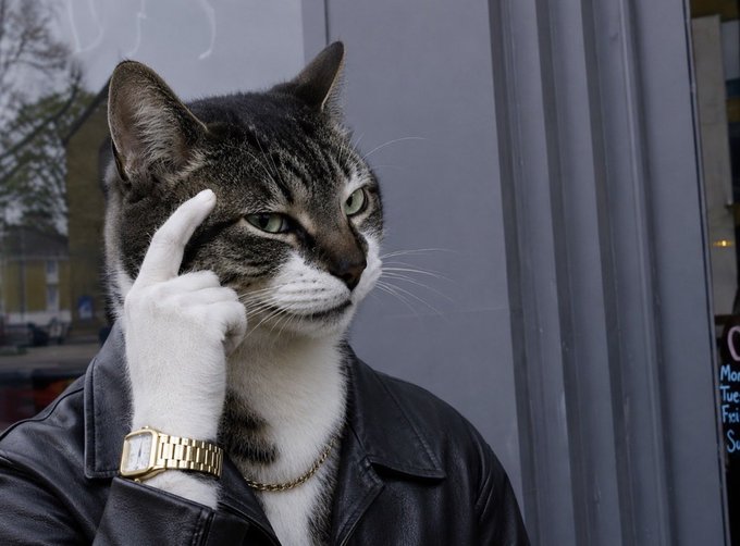 A cat wearing a black leather jacket, gold chain, and wristwatch, posing with its paw against its head in a thoughtful gesture outside a storefront.