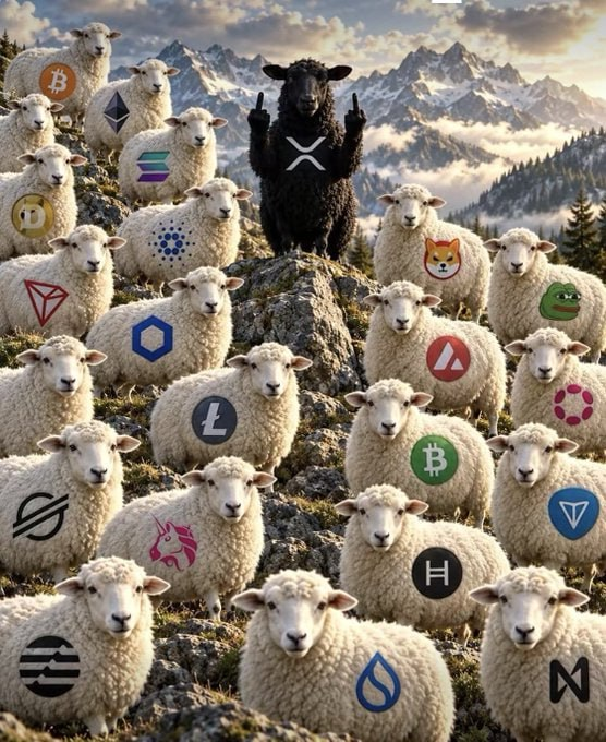 A surreal digital artwork showing a flock of sheep with cryptocurrency logos (such as Bitcoin, Ethereum, and Dogecoin) branded on their wool, surrounding a black sheep with an 'X' symbol in a mountainous landscape.
