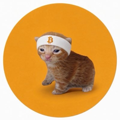 An orange kitten wearing a white Bitcoin-themed headband sits against an orange circular background.