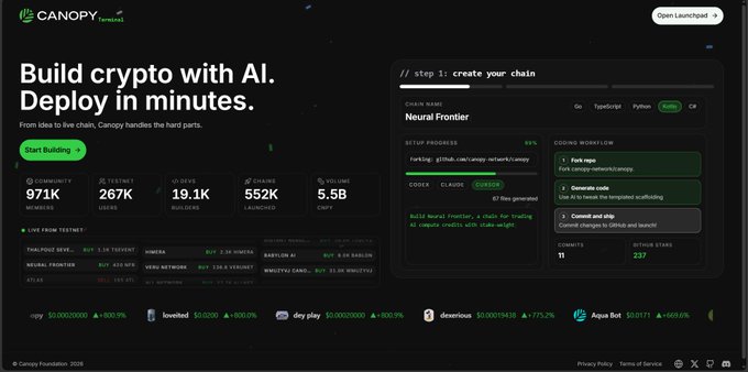 The image is a screenshot showing a web page or interface related to a cryptocurrency development platform called CNPY Network. It features a black background with green text, providing information about the deployment process for the network. The image does not provide any additional details about other content on the site. The main focus of this image appears to be educating users about how to use and engage with the CNPY Network, particularly in terms of deploying chains for testing purposes.