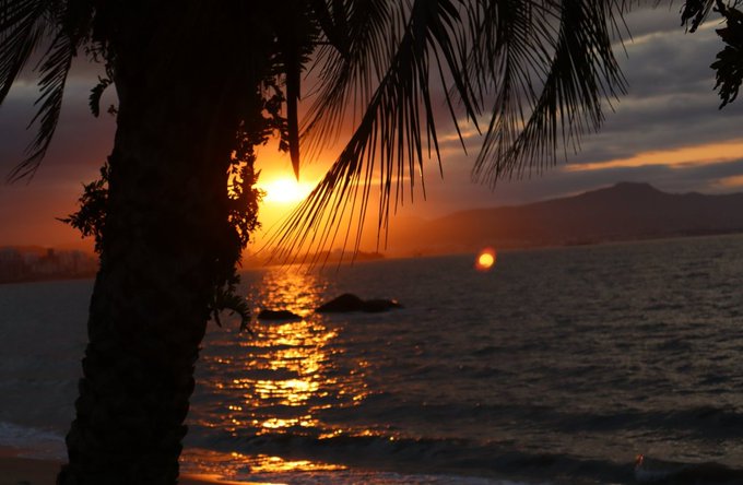 A scenic sunset over the ocean framed by a palm tree, with the sun reflecting on the water and distant mountains on the horizon.