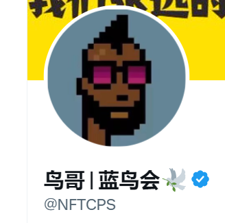 A profile picture showing a pixel art character with pink sunglasses, with Chinese text, the name '鸟哥 | 蓝鸟会' and the handle '@NFTCPS' displayed below.