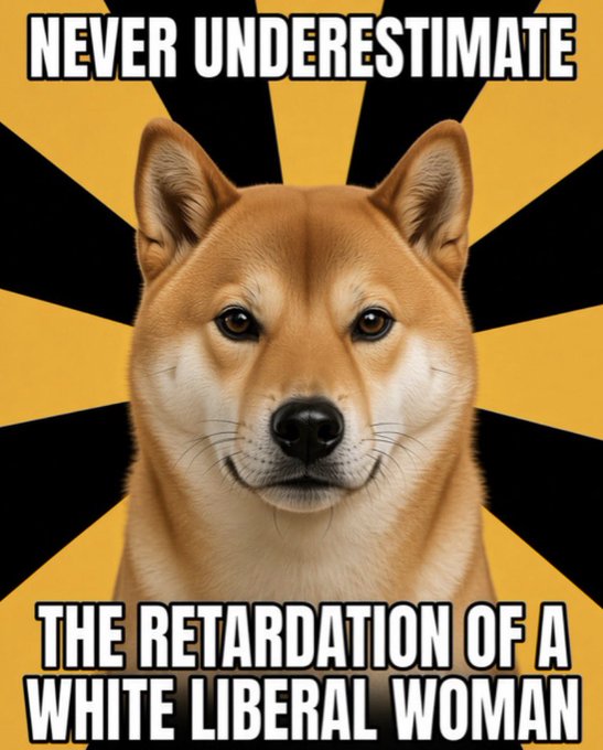 A meme image features a Shiba Inu dog against a yellow and black sunburst background with text reading 'NEVER UNDERESTIMATE THE RETARDATION OF A WHITE LIBERAL WOMAN'.