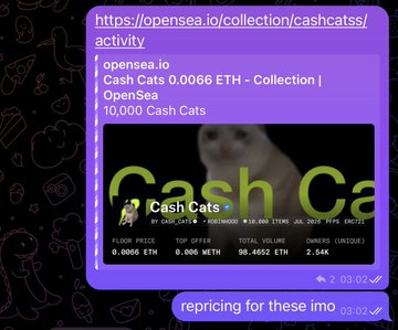 A Telegram screenshot shows a Cash Cats NFT collection on OpenSea with a 0.0066 ETH floor price, alongside the post claiming the artist called Cashcat NFTs around 0.02 ETH (10x gain) and predicting they could reach 1 ETH—illustrating the strong return on the early entry.