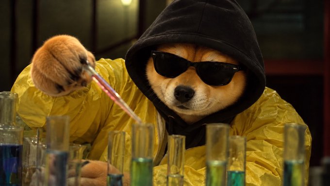 A humorous image of a Shiba Inu dog dressed in a yellow hazmat suit, black hoodie, and sunglasses, using a pipette to mix liquids in beakers filled with colorful chemicals, referencing the Dogecoin/Shiba meme aesthetic.
