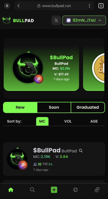 The BullPad website (www.bullpad.run) displaying cryptocurrency token information, specifically for the token $BullPad with a market cap of $2.19K.