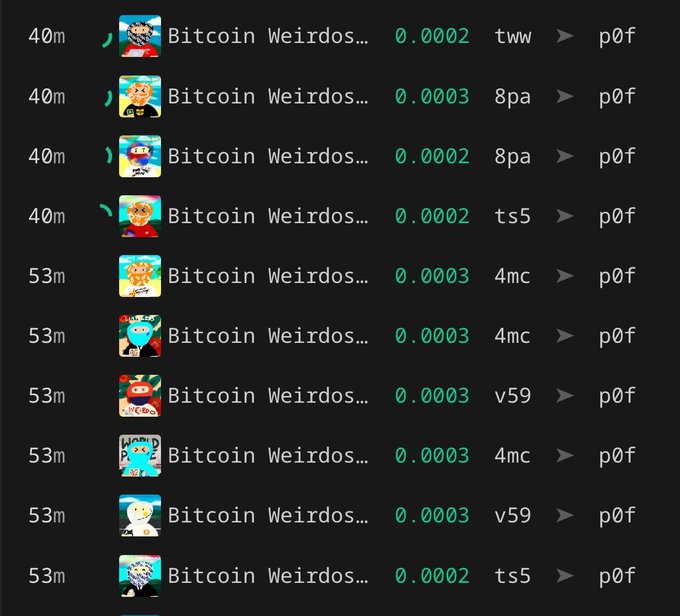 A trading app screen showing multiple recent buy orders for 'Bitcoin Weirdos...' NFTs, all priced between 0.0002 and 0.0003 ETH (denoted by the green numbers).