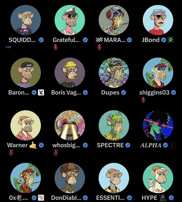 The image features a collection of twelve different cartoon monkey faces, each with their own unique characteristics and styles. The monkeys appear to be wearing sunglasses and hats, giving them a cool and hipster vibe. They are arranged in two rows, with six on the left side and six on the right side of the frame. Each monkey has its own distinct personality, making it an interesting and diverse collection for viewers to explore.