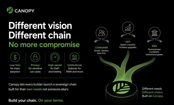 Canopy infographic titled 'Different vision Different chain - No more compromise,' highlighting features like Low fees, Privacy, High speed, and Institutional features, with branches leading to Consumer, DeFi, and RWA chains.