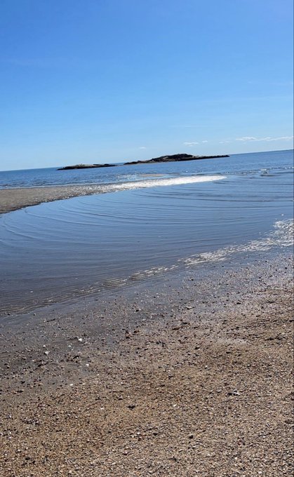 A serene beach scene with calm, shallow water meeting a pebbly shore under a clear blue sky.