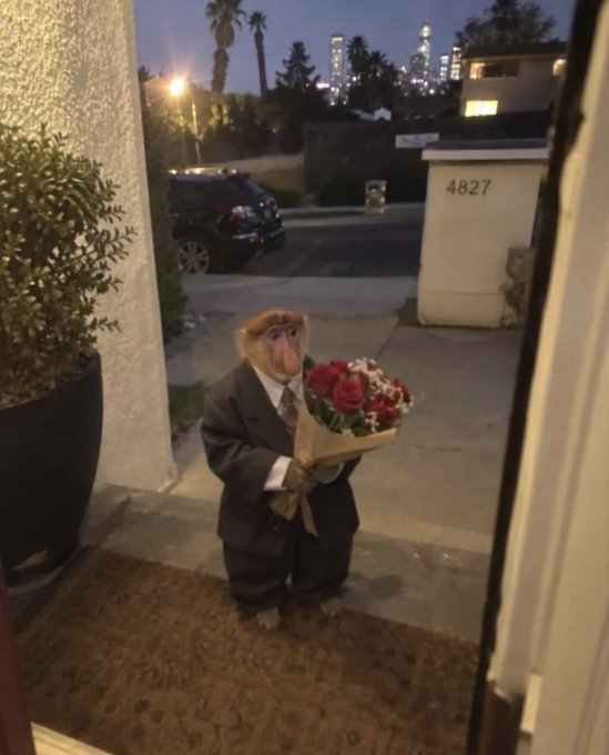 A person wearing a suit with a large pig mask stands on a doormat holding a bouquet of red roses, viewed through an open doorway with city lights visible in the evening background; the address '4827' appears on a nearby wall.