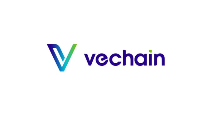 The image shows the VeChain logo, featuring a stylized "V" in blue and green gradient alongside the wordmark "vechain" in dark purple lowercase text. The logo visually reinforces the post's message about VeChain's evolution beyond its early identity, representing the rebranded and technologically advanced blockchain ecosystem described in the caption.