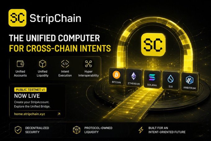 A promotional graphic for StripChain, 'The Unified Computer for Cross-Chain Intents,' featuring logos for Bitcoin, Ethereum, Solana, SUI, and Arbitrum, with a 'Public Testnet v1 Now Live' announcement.