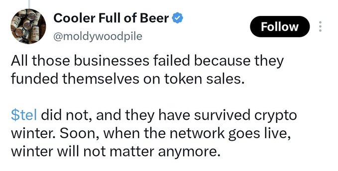 A tweet from user @moldlywoodpile (Cooler Full of Beer) stating: 'All those businesses failed because they funded themselves on token sales. $tel did not, and they have survived crypto winter. Soon, when the network goes live, winter will not matter anymore.'