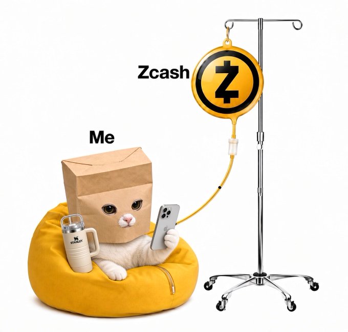 A meme showing a white cat wearing a paper bag labeled "Me" sitting in a yellow bean bag with a Stanley cup, connected by an IV drip to a gold coin labeled "Zcash."