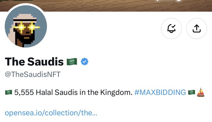 An OpenSea profile page for 'The Saudis' (@TheSaudisNFT) featuring a pixel art logo and 5,555 Halal Saudis.