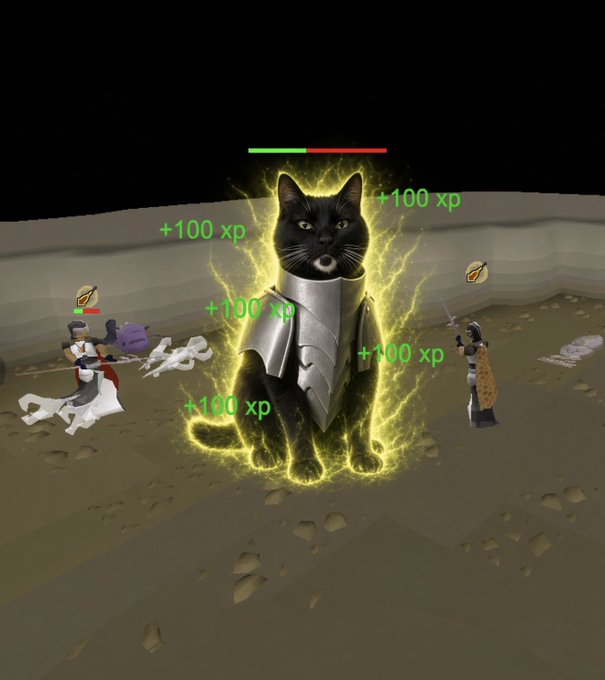 A screenshot from a video game, resembling Old School RuneScape, showing a black cat wearing metallic armor surrounded by yellow lightning effects with '+100 xp' text popping up, while other characters fight nearby.