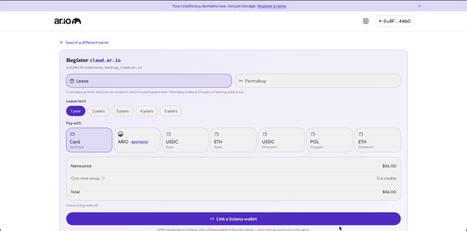 The Ar.io website shows a domain registration page for 'cloud.ar.io' with a 1-year lease term, offering a total price of $66.00 payable with various cryptocurrencies including AR.IO, USDC, ETH, and SOL.