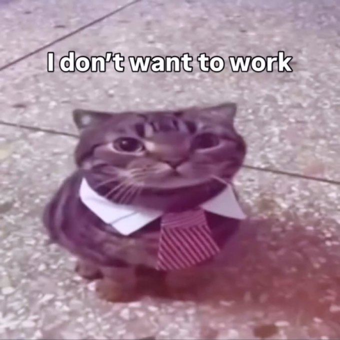 A small cat wearing a tie and collar sits on pavement with the text "I don't want to work" overlaid, humorously embodying the $NEET coin meme about escaping the workforce—fitting the poster's theme of promoting a coin tied to the laid-back "cat coin" lifestyle.