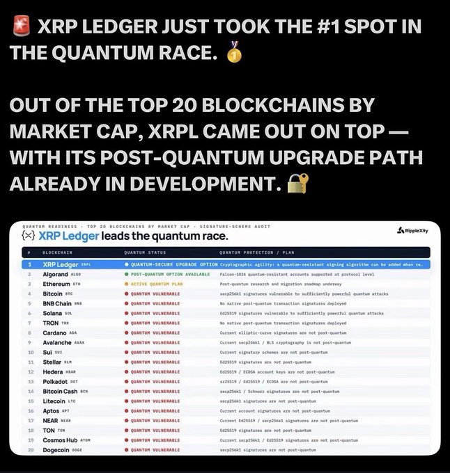 An infographic claiming 'XRP LEDGER JUST TOOK THE #1 SPOT IN THE QUANTUM RACE,' displaying a 'Quantum Readiness' table by RippleXy that ranks XRP Ledger #1 above Algorand, Ethereum, and Bitcoin.