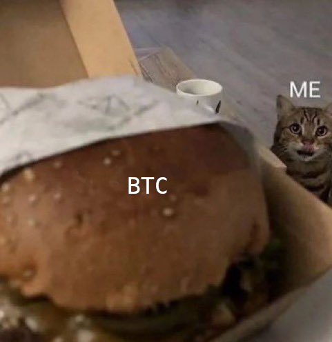 A surprised-looking cat labeled "ME" stares longingly at a large burger labeled "BTC" wrapped in paper inside a takeout container, humorously suggesting an overwhelming craving or obsession.