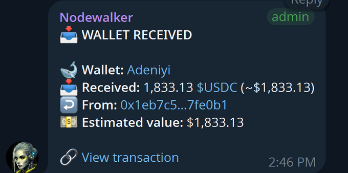 A Discord notification from Nodewalker bot showing a wallet received 1,833.13 $USDC (~$1,833.13) in the Adeniyi wallet from address 0x1eb7c5...7fe0b1, with a View transaction link.