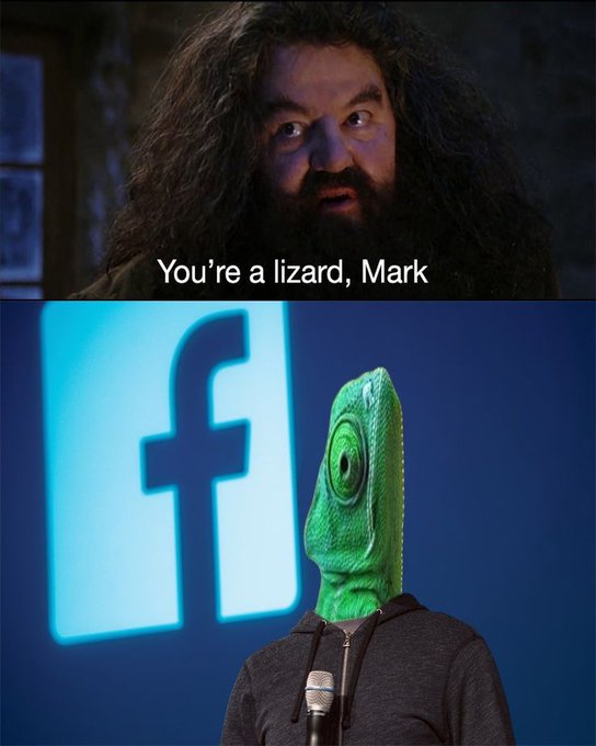 A meme featuring a man with long hair and a beard saying 'You're a lizard, Mark' above a person wearing a green chameleon mask in front of a Facebook logo.