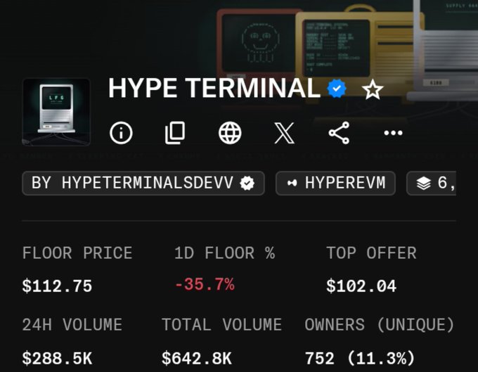 A digital marketplace profile for 'HYPE TERMINAL' displays a floor price of '$112.75', a '1D FLOOR %' of '-35.7%', and a 24H volume of '$288.5K'.