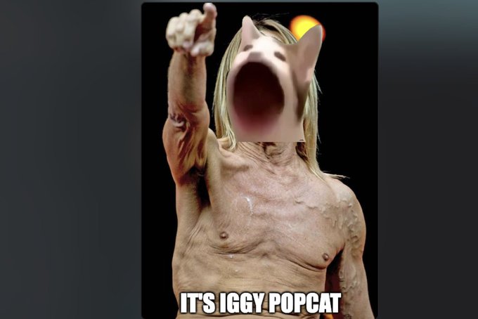 A disturbing, edited image of a hairless, aged figure with a screaming cartoon cat face superimposed on its head, pointing forward, with the text 'IT'S IGGY POPCAT' at the bottom.
