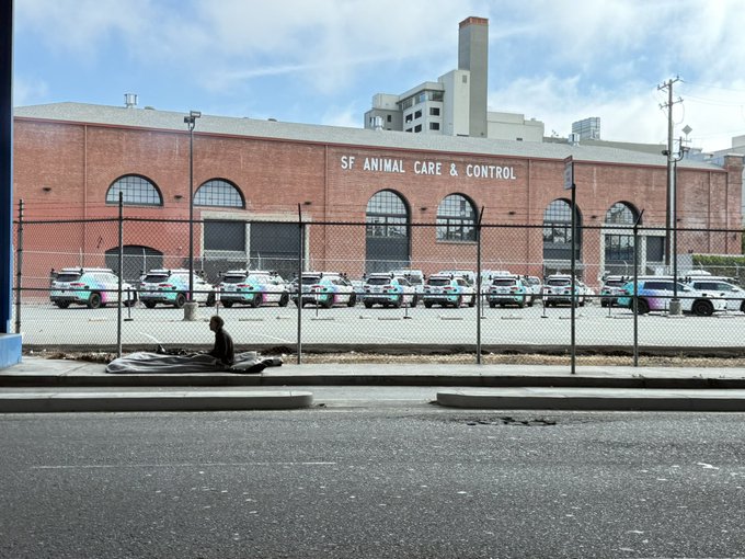 A row of San Francisco Animal Care & Control vehicles sits behind a fence outside the brick “SF ANIMAL CARE & CONTROL” building, while a person rests on the sidewalk across the street—reflecting the post’s “Hello SF, city of juxtapositions.”