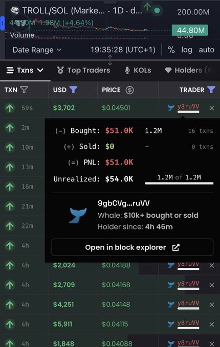 The image shows a transaction tracker for the TROLL/SOL token on a crypto analytics platform, highlighting that wallet "9gbCVg...ruVV" bought $51.0K worth of TROLL (16 transactions, 1.2M tokens) with an additional $54.0K unrealized position, while selling $0. This aligns with the post noting a whale accumulated $51,000 of $TROLL in the last 5 hours, confirmed by the wallet's "Whale: $10k+ bought or sold" status and holder duration of 4h 46m.