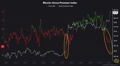 Bitcoin Korea Premium Index chart showing price action with yellow circles highlighting notable peaks in the data.