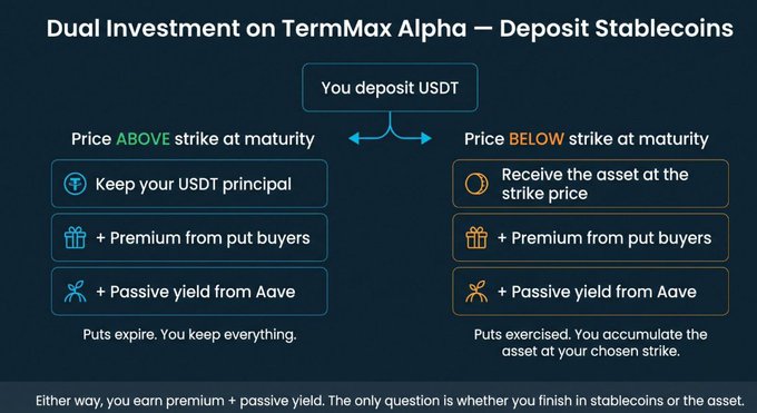 An infographic titled 'Dual Investment on TermMax Alpha — Deposit Stablecoins' that explains the financial outcomes of depositing USDT based on whether the price ends above or below the strike at maturity.