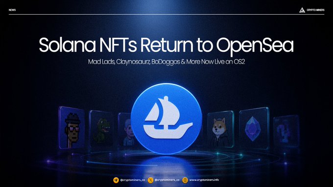 Promotional graphic titled 'Solana NFTs Return to OpenSea' with subtitle 'Mad Lads, Claynosaurz, BoDoggos & More Now Live on OS2', featuring the OpenSea logo and various NFT characters.