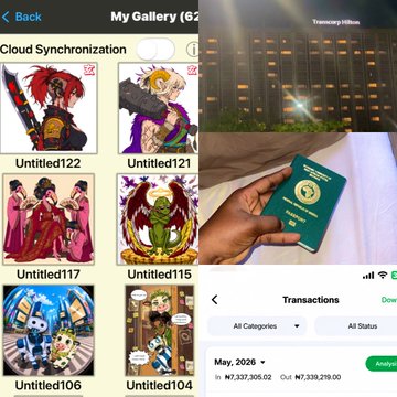 The image shows a collage of different photos, including one with a green passport being held up against a white background, another photo featuring a character from a video game, and a third photo showing a person holding a green passport. The collage also includes text that provides information about the content in each photo or post.