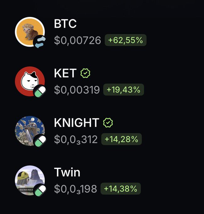 A cryptocurrency portfolio tracker displays four tokens—BTC (+62.55%), KET (+19.43%), KNIGHT (+14.28%), and Twin (+14.38%)—all showing gains, visually supporting the post's claim that memecoins are performing well.