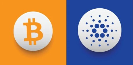 The image displays the Bitcoin logo (₿) in orange alongside the Cardano logo (ADA's symbol, a circular dot pattern) in blue, visually representing a comparison between the two cryptocurrencies that aligns with the post's preference for holding $ADA.