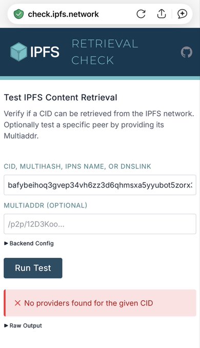A screenshot of an 'IPFS RETRIEVAL CHECK' tool displaying 'No providers found for the given CID' for the entered content identifier.
