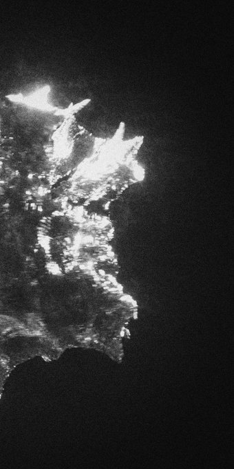 The image shows a close-up of a tree branch with white spots, which appears to be made of metal or foil. The background is black, providing contrast to the white elements on the branch. The photo has a grainy texture that gives it an artistic and vintage feel. The caption reads "gn. half remembered dream...", suggesting that the image might have been taken during a moment of contemplation or nostalgia.