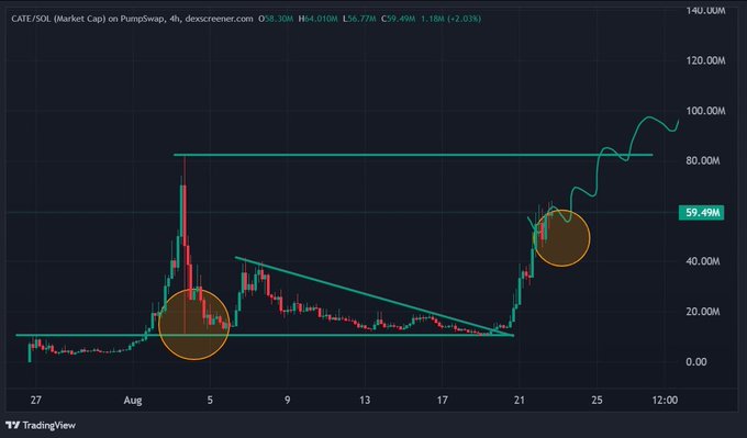 A 4-hour candlestick chart of CATE/SOL (Market Cap) on PumpSwap shows the token's value surging from ~10M to a peak of ~100M market cap, with annotated circles highlighting an early dip around August 5 (where holders endured a dump) and a recent consolidation near the current 59.49M level—visually reinforcing the post's praise for investors who held through volatility to enjoy the breakout toward new highs.