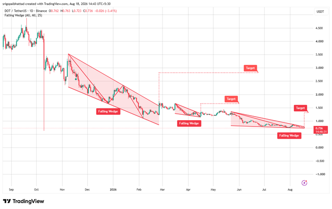 A TradingView chart of DOT/USDT on Binance displays three consecutive falling wedge patterns from September 2023 to August 2024, with the current price at 0.736 testing a 0.756 support level. The chart highlights multiple resistance levels marked as "Target" zones, projecting potential upward breakouts if DOT breaks above the tightening wedge structure.