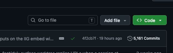 A GitHub repository interface showing a 'Go to file' search bar, an 'Add file' dropdown, and a green 'Code' button, with visible text indicating commit '4f2cb7f · 19 hours ago' and '5,161 Commits'.