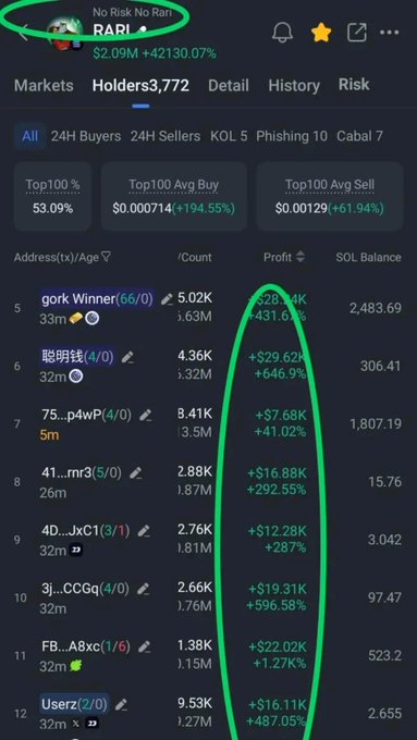 A cryptocurrency trading app interface showing a token named 'RARI' with the warning 'No Risk No Rain', displaying holder statistics, profits, and SOL balances with various percentages highlighted in green.