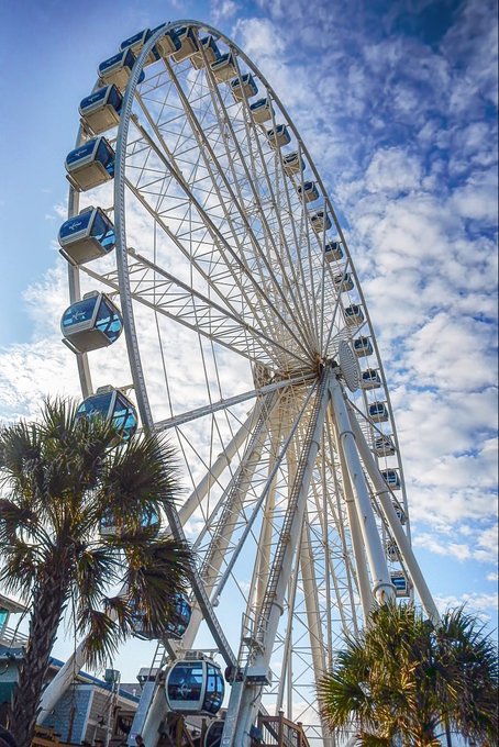 A towering Ferris wheel with white steel spokes and enclosed gondolas rises against a partly cloudy blue sky, framed by palm trees at its base. The image doesn't visually relate to the post about $RIVER's cross-chain Omni-CDP functionality, though its grand, interconnecting structure could symbolically echo the "bridgeless" connectivity described in the text.