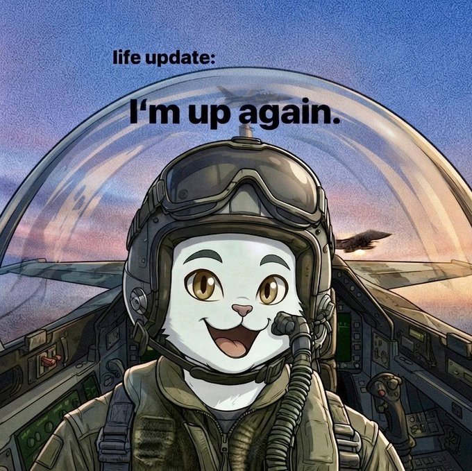 An anime-style illustration of a white cat wearing a pilot's helmet and goggles in a fighter jet cockpit, with the text 'life update: I'm up again.'