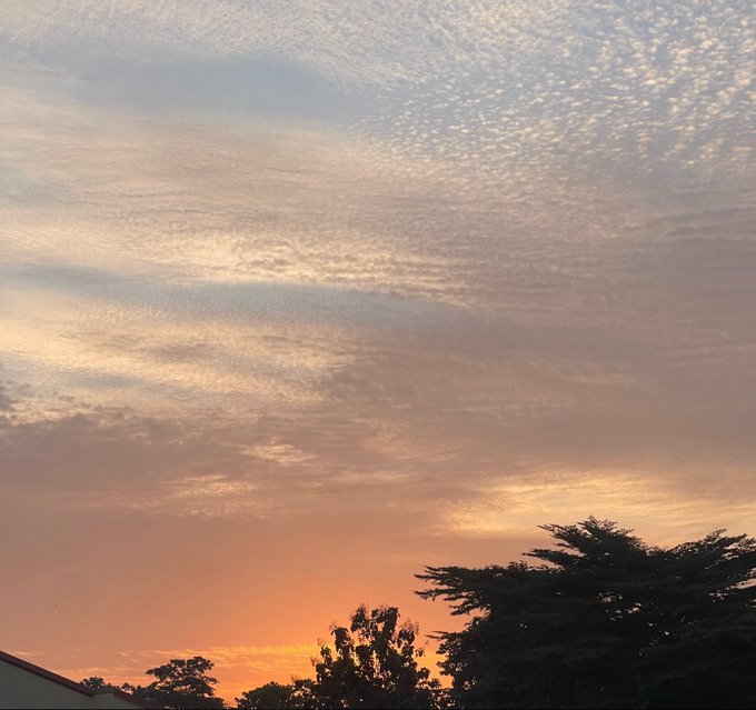 A beautiful sunset sky with textured clouds in hues of orange, pink, and blue, silhouetted by treetops at the bottom of the frame.