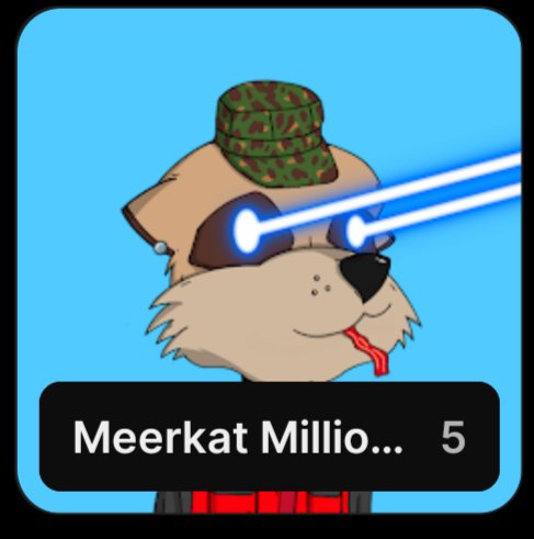 The image features a cartoon dog wearing a hat with a camera lens attached, giving it a unique appearance. The caption below the image reads "Meerkat Millio... 5". This suggests that the image might be related to an advertisement or promotion for a product named Meerkat Millio.